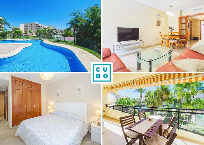 Cubo's Urban Brigitte & Parking